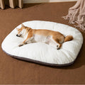 Noah Cozy Pet Bed – Soft & Comfortable Dog and Cat Bed for Relaxing and Sleeping
