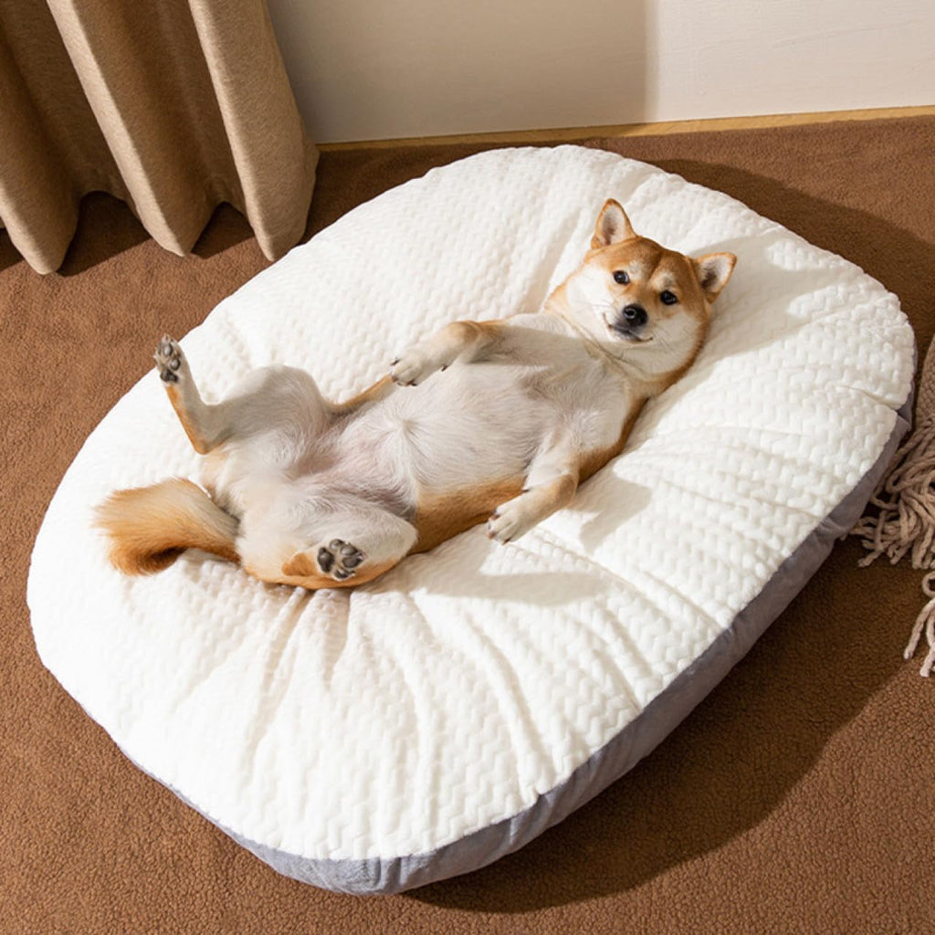 Noah Cozy Pet Bed – Soft & Comfortable Dog and Cat Bed for Relaxing and Sleeping