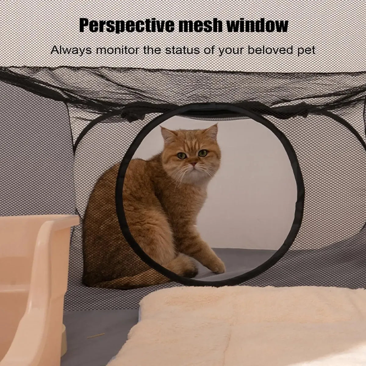 Portable Pet Tunnel Tent – Foldable Outdoor Play Tunnel for Cats & Dogs