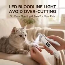 2-in-1 LED Light Cat-Shaped Nail Polisher